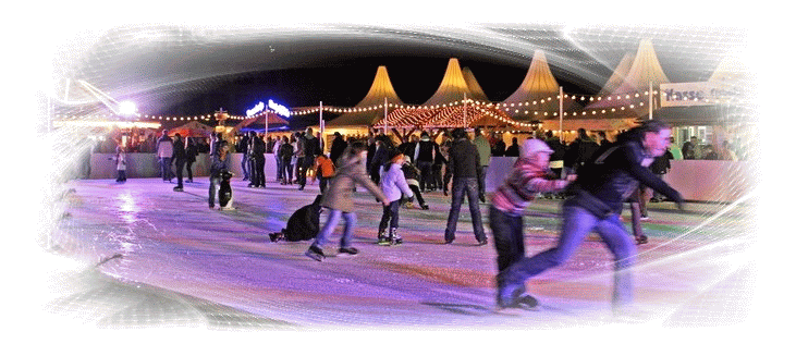 Mainzer Eiszauber 09.12.2007  � www.grothbilder.de