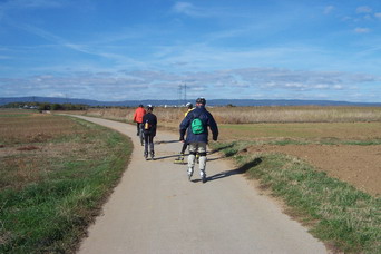 Im Hochheimer Feld Richtung Erbenheim