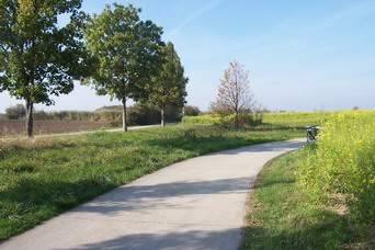 Bereich Hochheim - In der N�he der A 671.